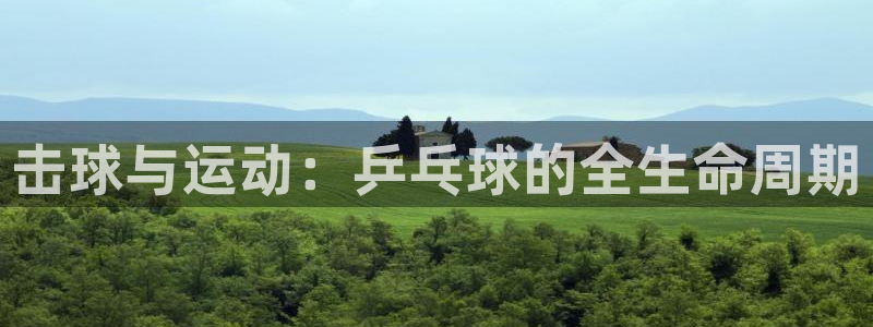 球客岛