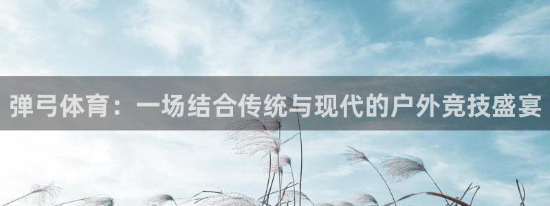 球客岛：弹弓体育：一场结合传统与现代的户外竞技盛宴