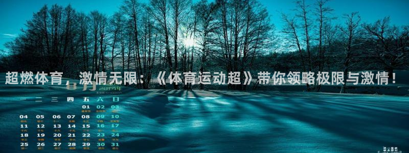 球客岛：超燃体育，激情无限：《体育运动超》带你领略极限与激情！