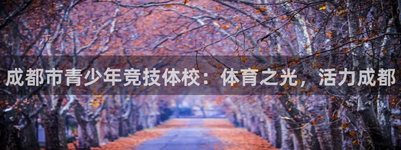 球客岛