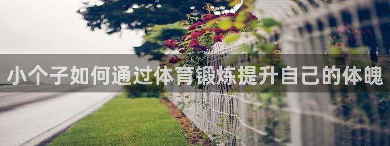 球客岛
