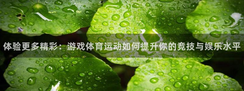 球客岛：体验更多精彩：游戏体育运动如何提升你的竞技与娱乐水平